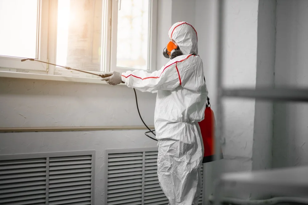 Professional mold remediation services in Lake Zurich, IL